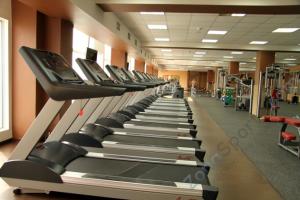 Беговая дорожка Aerofit 9900T