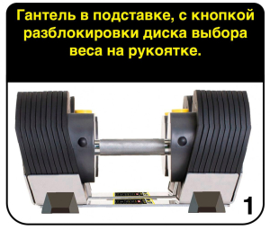Гантели регулируемые MX Select MX85 вес 5.6 - 38.6 кг, 2 шт