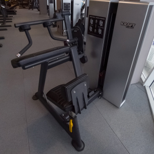 Силовой тренажер Бицепс/Трицепс сидя  Kraft Fitness KFDXBT