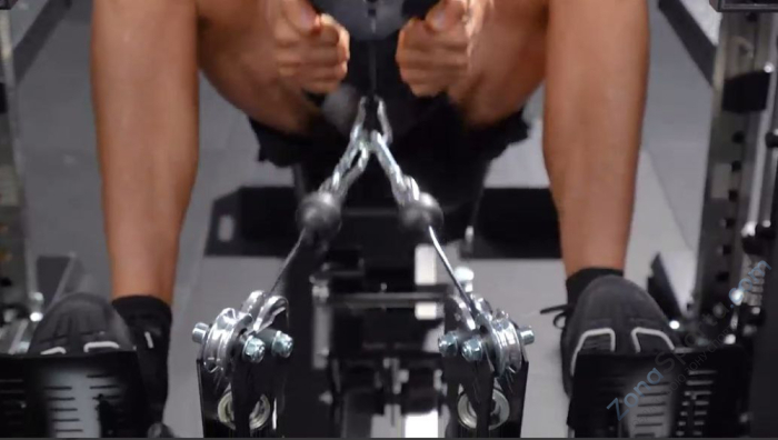 Скамья Скотта/Сгибание и разгибание ног Protrain GTB1-CURL (опция для GT10 MEGA, GTB1)