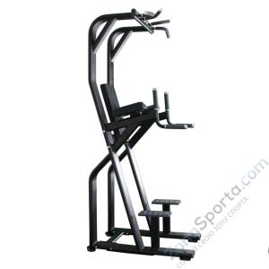 Турник силовой многофункциональный Protrain V8-304